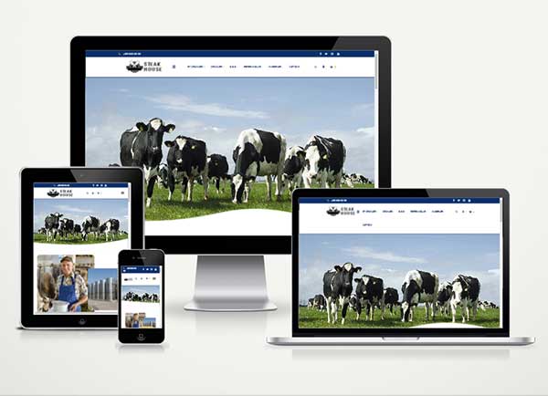 Şarküteri ve Süt Ürünleri E-Ticaret Paketi v5.0